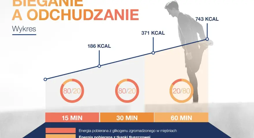 Wykres pokazuje, jak biegać żeby schudnąć: dłuższy bieg spala więcej kalorii, głównie z tkanki tłuszczowej.
