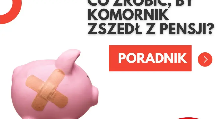 Różowa świnka-skarbonka z plastrem na brzuchu. Tekst: "Co zrobić, by komornik zszedł z pensji? Poradnik". Dowiedz się, jak działa komornik.