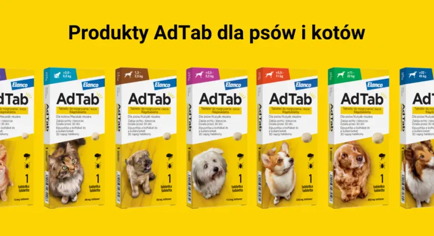 Jak działają krople na kleszcze dla psa? Poznaj ich skuteczność i bezpieczeństwo