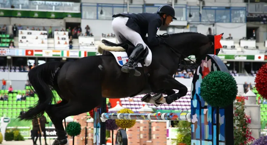 Un cheval noir CSO saute un obstacle coloré, monté par un cavalier en tenue d'équitation.