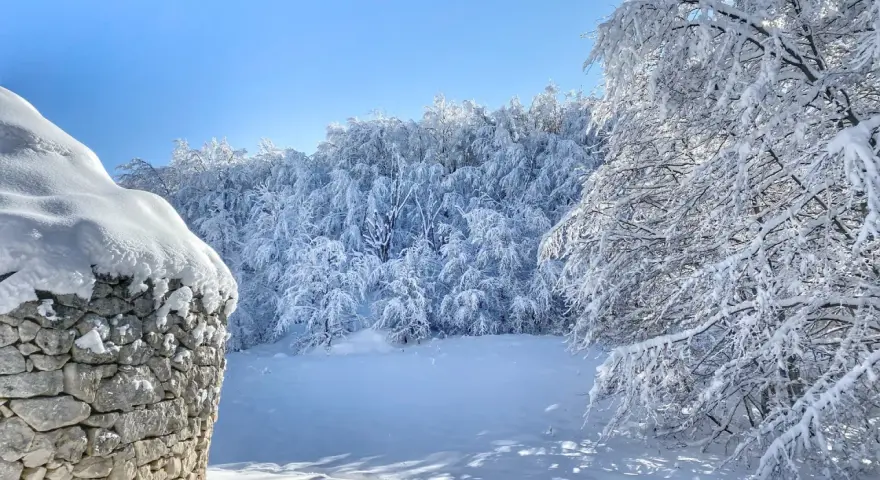 Muro di pietra innevato vicino a un bosco incantato, un vero passo lanciano di bellezza invernale sotto un cielo azzurro.