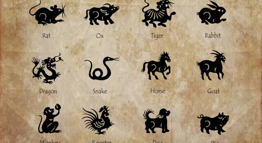 Chiński znak zodiaku 2007: Szczur, Wół, Tygrys, Królik, Smok, Wąż, Koń, Koza, Małpa, Kogut, Pies, Świnia.