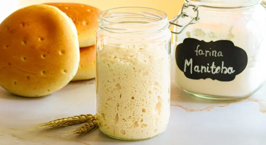 Lievito madre come si fa: un barattolo pieno di pasta madre attiva, accanto a panini dorati e farina Manitoba.