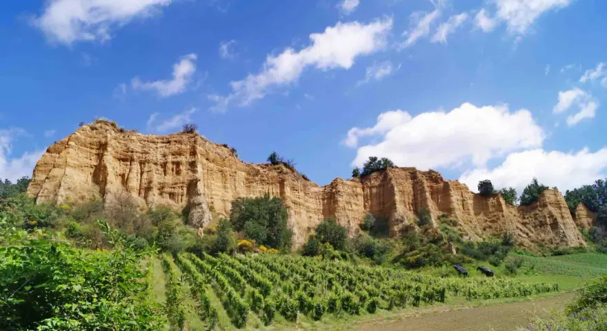 Scogliere dorate e vigneti rigogliosi sotto un cielo azzurro con nuvole bianche, un paesaggio tipico di Castelfranco di Sopra.