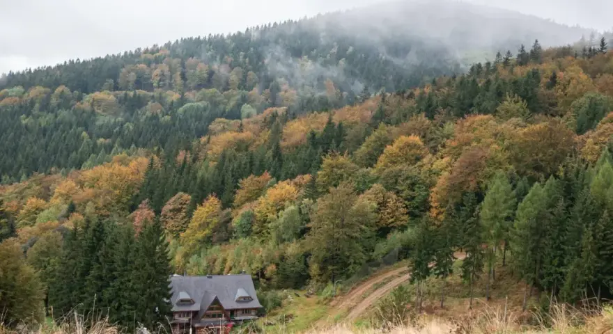 Dom w lesie, jesienne barwy drzew i mgła nad szczytami gór dolnośląskich.