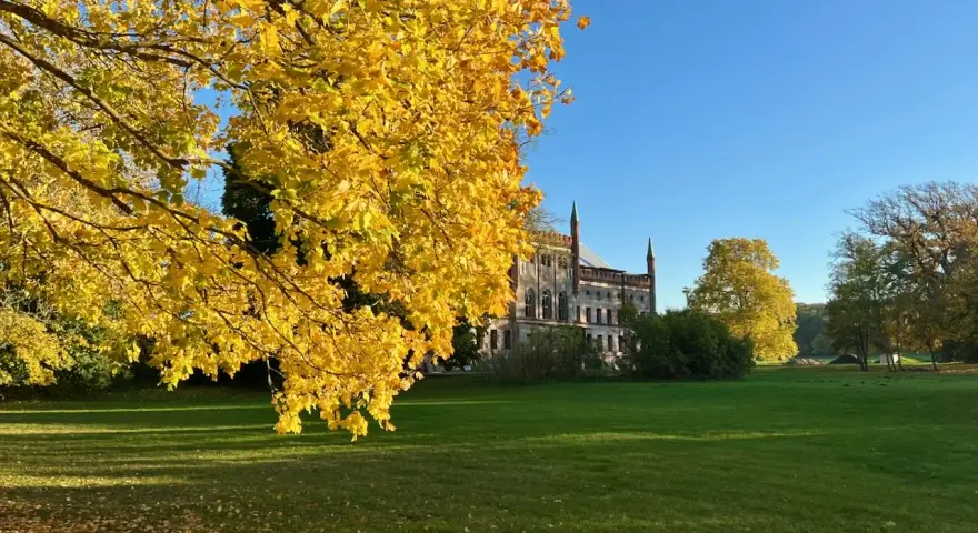 Herbstliche Farben umgeben das Schloss Broock. Ein Baum mit leuchtend gelben Blättern dominiert den Vordergrund, während im Hintergrund das imposante Gebäude vor blauem Himmel steht.