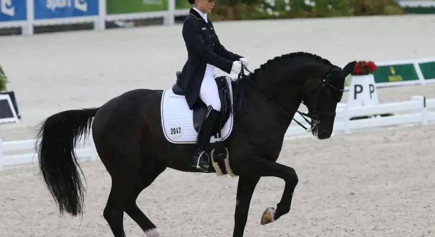 Une cavalière en tenue de **figure de dressage** exécute un mouvement gracieux avec son cheval noir dans une arène.
