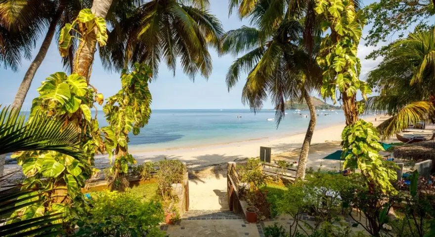 Tropikalny raj na Madagaskarze. Piękna plaża, palmy i turkusowe morze. Idealna pogoda na listopad.