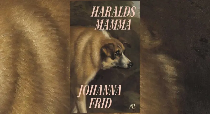 Bokomslag för "Haralds mamma" av Johanna Frid. En hund tittar sorgset åt sidan.