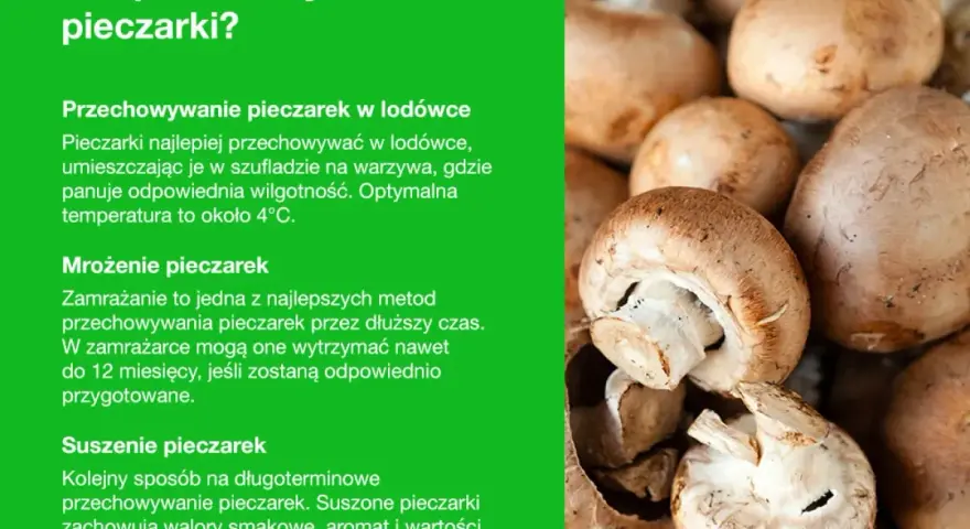 Jak przechowywać pieczarki? Wskazówki dotyczące chłodzenia, mrożenia i suszenia świeżych pieczarek, by zachować ich smak i aromat.