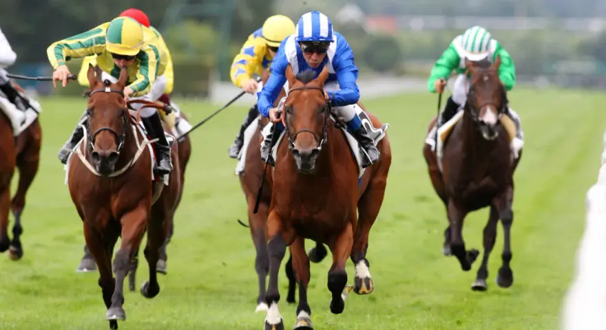 Des jockeys colorés en pleine course, un moment intense de la filière turf.