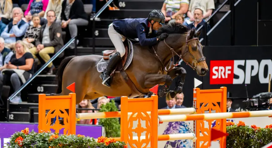 Un cavalier et son cheval, un donatello d'auge, franchissent un obstacle. Le public est en arrière-plan.