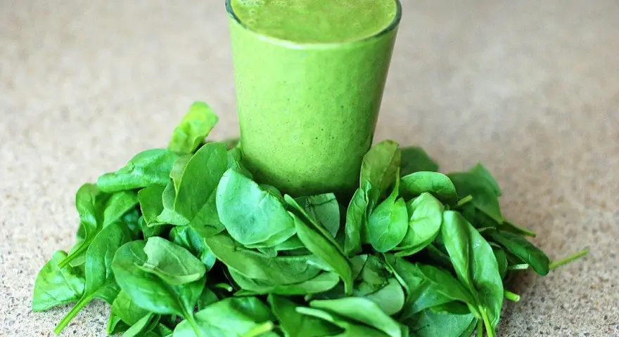 Un verre de smoothie vert entouré d'épinards frais, parfait pour un régime sans lectine.