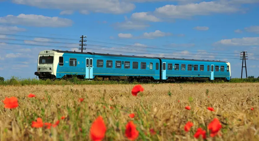 Błękitny pociąg Arriva jedzie przez pole dojrzałego zboża, a na pierwszym planie kwitną czerwone maki.