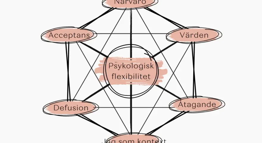 Diagram som visar psykologisk flexibilitet med komponenter som närvaro, acceptans, värden, åtagande, jag som kontext och defusion. Dessa visar vad ACT betyder i praktiken.