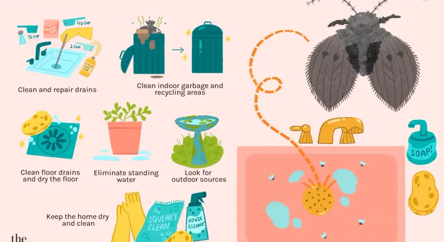 Learn how to get rid of drain flies by cleaning drains, garbage, and standing water. Keep your home dry and clean to prevent these pests.