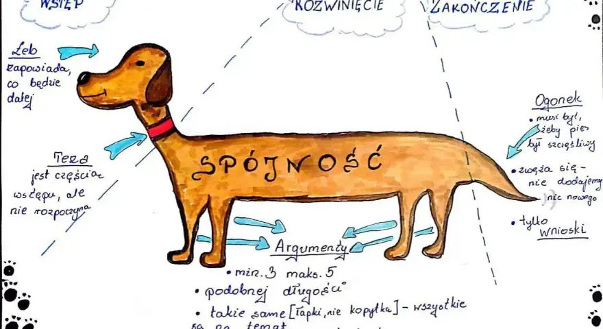 Jak napisać tezę? Schemat eseju w formie psa: głowa (wstęp), tułów (rozwinięcie, argumenty), ogon (zakończenie, wnioski).
