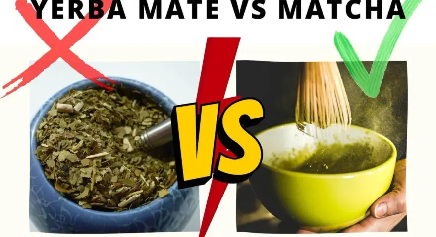 Matcha czy Yerba? Odkryj, co lepsze dla Twojego zdrowia i energii