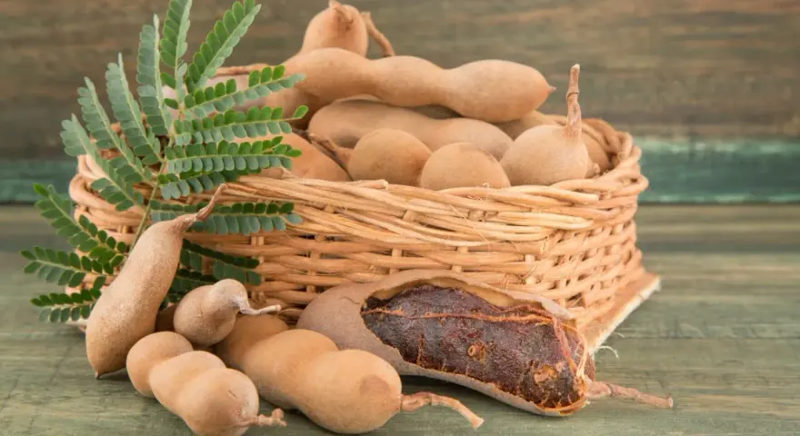 Koszyk pełen owoców tamaryndowca, idealnych do przygotowania pysznych dań. Odkryj pasta z tamaryndowca przepisy!