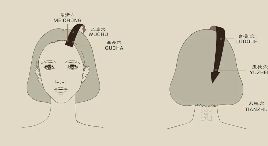 A diagram showing points on the head and neck for acupressure. Learn how to massage your head for relaxation.