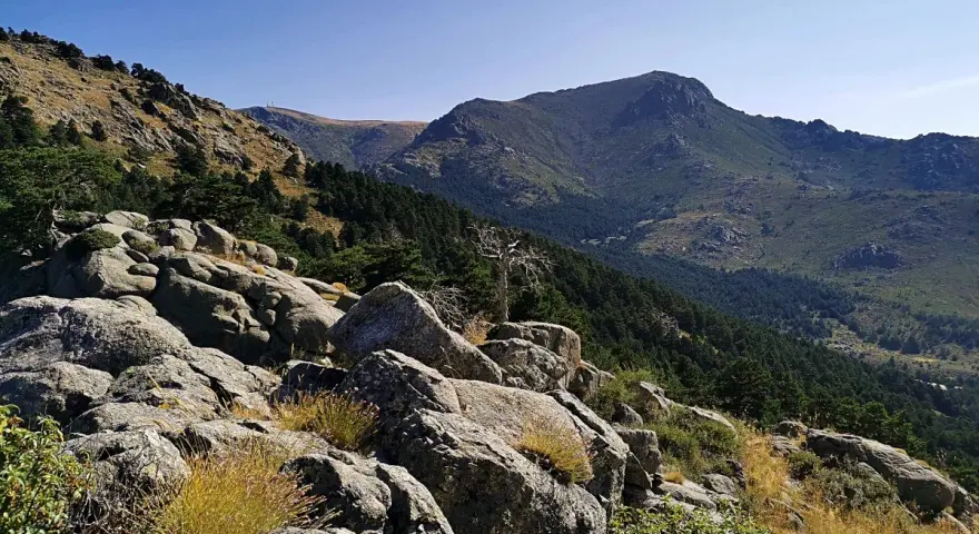 Rocas y vegetación en la ladera de la barranca, con un bosque de pinos y montañas al fondo bajo un cielo azul.
