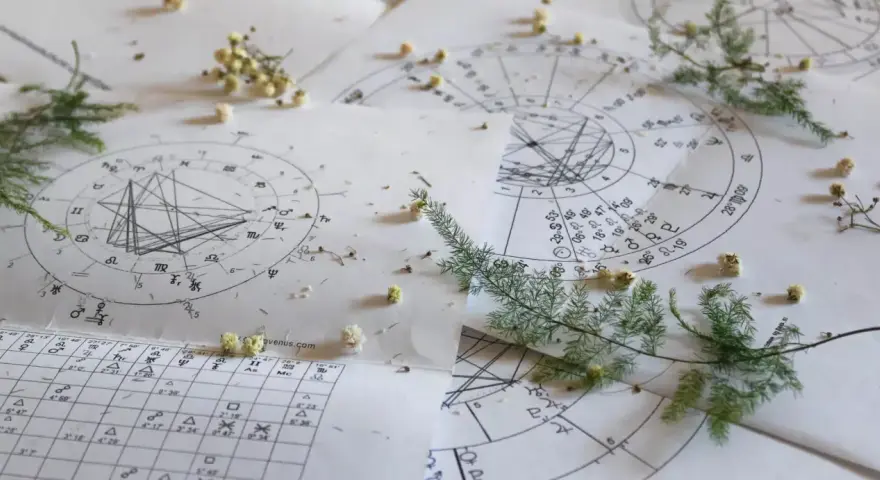 Papierowe wykresy astrologiczne, symbole i linie tworzą skomplikowany wzór. Obok leżą gałązki i drobne kwiaty, jakby ktoś chciał obliczyć horoskop wedyjski.