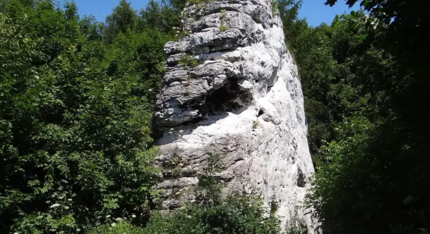 Wysoka, biała skała w otoczeniu zieleni, przypominająca fragmenty skalnego miasta w Polsce.