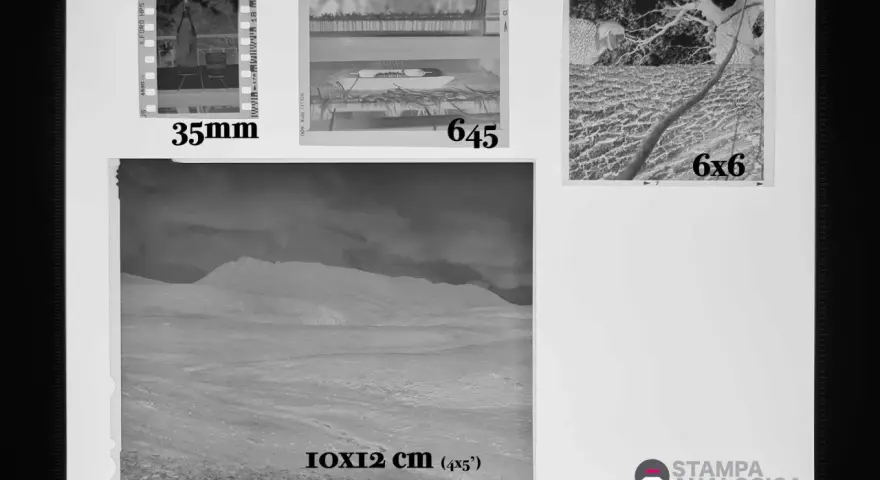 Diverse formati pellicola cinematografica: 35mm, 645, 6x6 e 10x12 cm (4x5').
