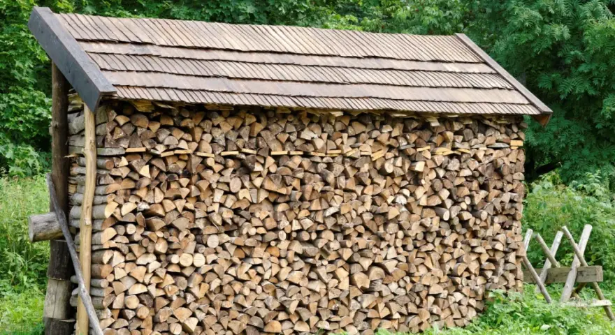 Drewno opałowe ułożone pod drewnianym zadaszeniem, otoczone zielenią.
