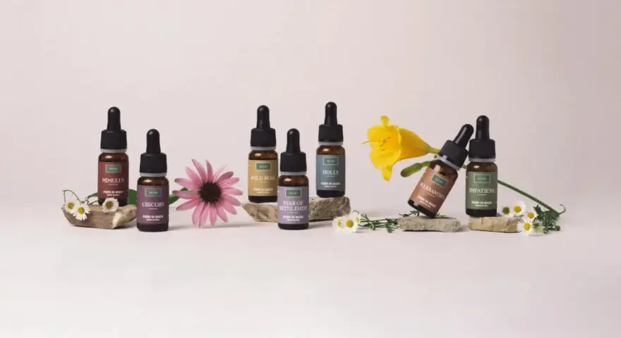Flaconi di Fiori di Bach, tra cui Mimulus e Chicory, con fiori. Informazioni su rescue remedy controindicazioni.