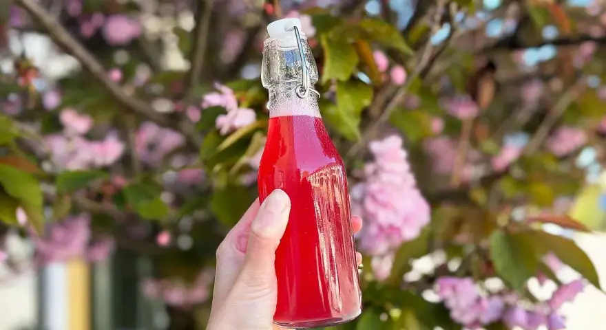 En hand håller en flaska med rosa rabarbersirap framför en blommande körsbärsträd.