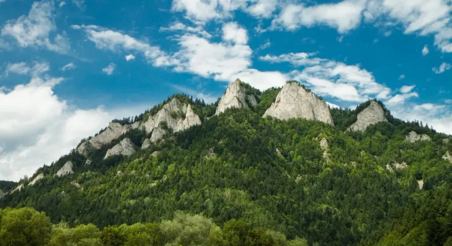 Szczawnica: Atrakcje, szlaki, smaki. Jak zaplanować idealny wyjazd?