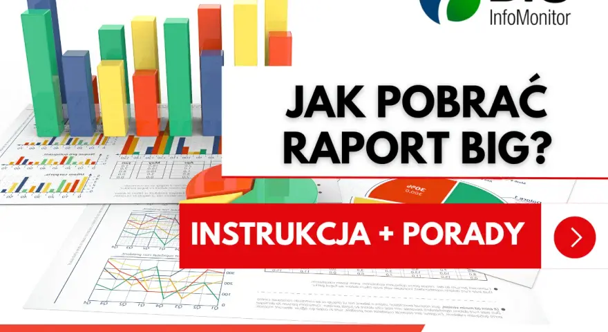 Wykresy i raporty BIG InfoMonitor. Dowiedz się, jak pobrać informację o zadłużeniu i uzyskać instrukcje oraz porady.