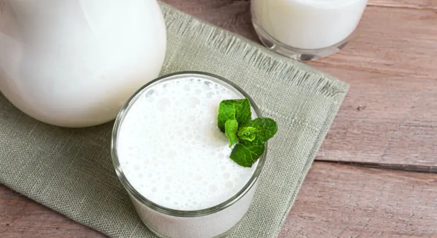 Un pichet et deux verres de lait fermenté, l'un garni de menthe fraîche. Une liste des yaourts fermentés à déguster.