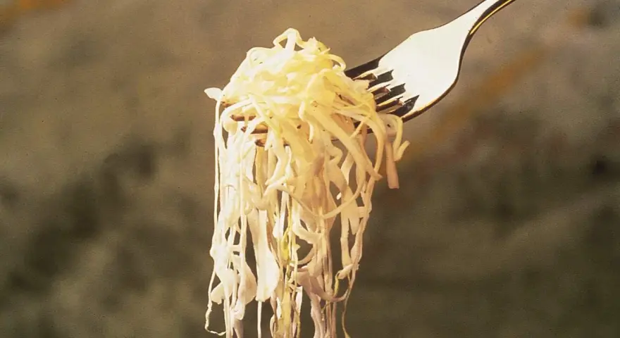 Un tenedor levanta una porción de chucrut, evocando su origen ancestral en la fermentación de la col.