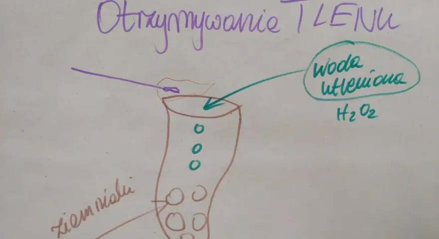Otrzymywanie tlenu z wody utlenionej (peroxide co to) z użyciem ziemniaka.