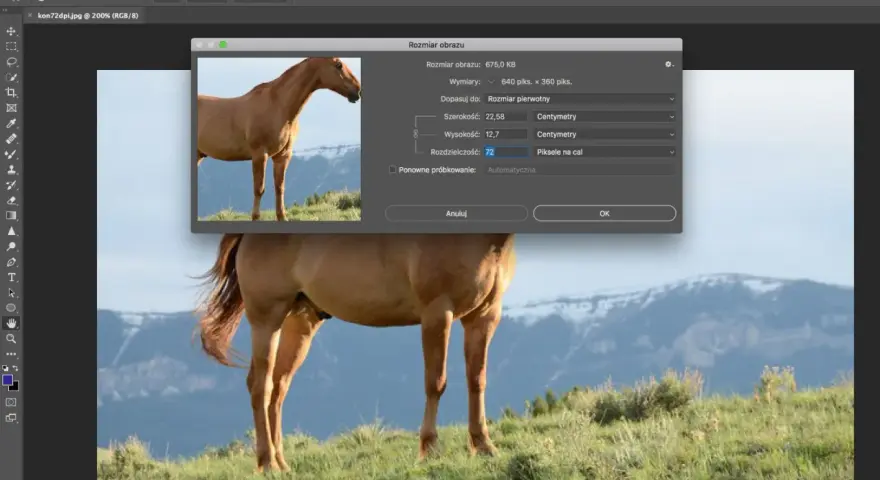 Photoshop DPI/PPI: Zmień rozdzielczość jak ekspert (bez strat!).