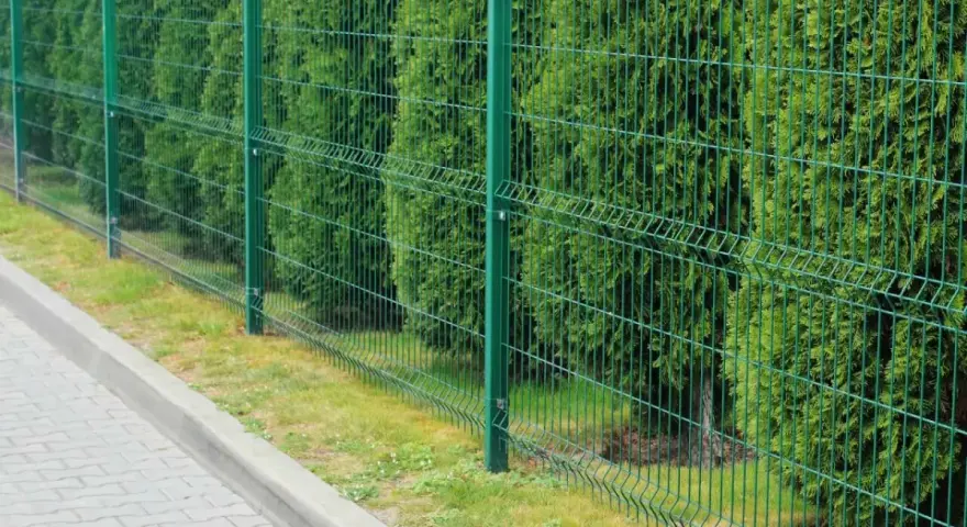 Zielone, metalowe ogrodzenie panelowe, jeden z popularnych rodzajów ogrodzeń, oddziela chodnik od gęstego żywopłotu.