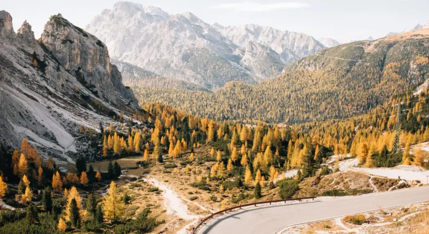 Malownicza droga w Dolomitach, otoczona jesiennymi drzewami, idealne miejsce na camping.