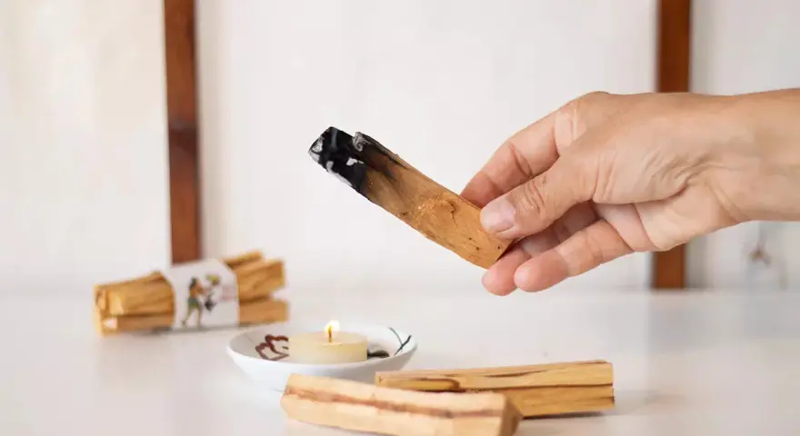 Mano sosteniendo un palo santo encendido, mostrando para qué sirve: purificación y aroma. Hay más palos y una vela encendida.