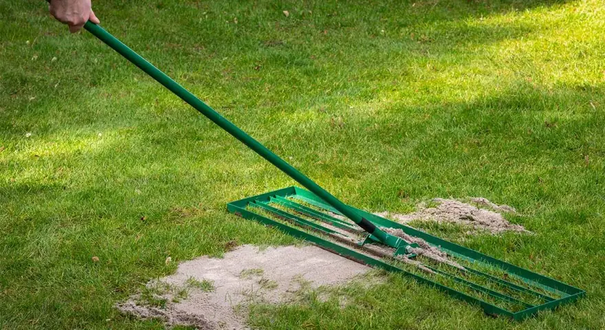 Mit einem Rechen wird Rasensand auf dem grünen Rasen verteilt, um ihn zu verbessern.