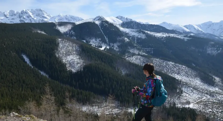 Widok na wielki kopieniec górski pokryty lasem i śniegiem. Kobieta z plecakiem i kijkami trekkingowymi podziwia panoramę.