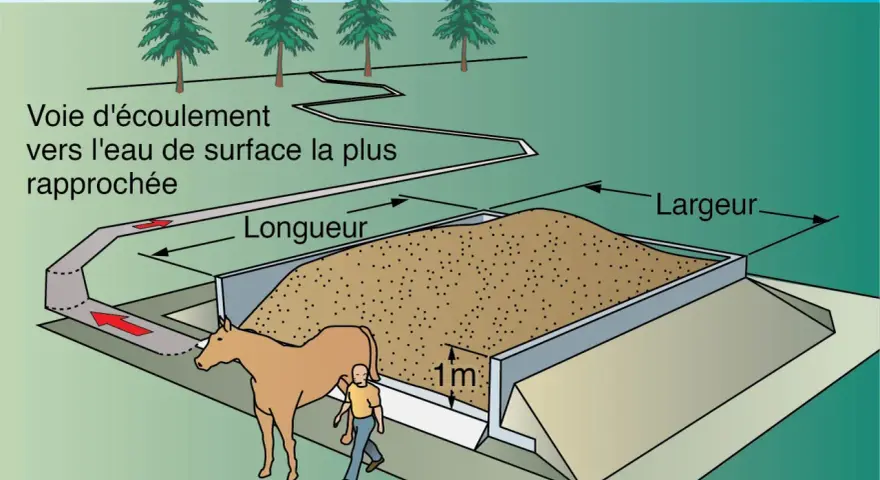 Un cheval et un homme près d'une fosse remplie de fumier de cheval composté. Un canal d'écoulement dirige le surplus vers l'eau.