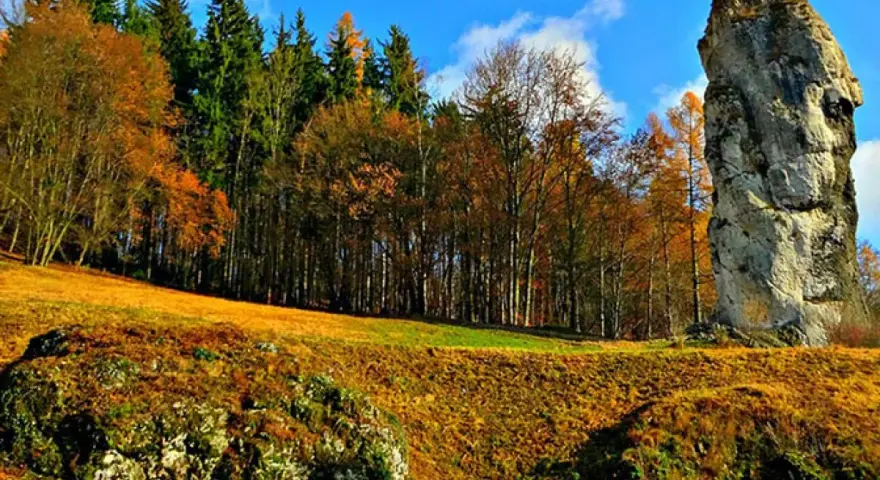 Jesienny krajobraz z wysoką skałą przypominającą maczugę Herkulesa. Las w jesiennych barwach, błękitne niebo z chmurami.