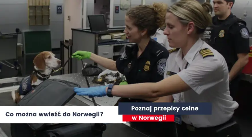 Alkohol do Norwegii samolotem? Poznaj limity i uniknij mandatu!