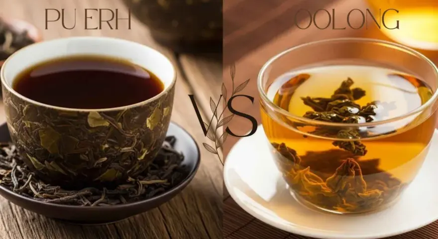 Dwa napary: ciemny Pu-erh i złocisty Oolong, prezentujące różne etapy fermentacji herbaty.