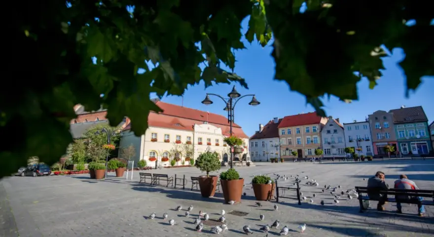 Rynek w Darłowie z kolorowymi kamienicami i gołębiami. Idealne miejsce na spacer i odkrywanie darłowskich atrakcji.