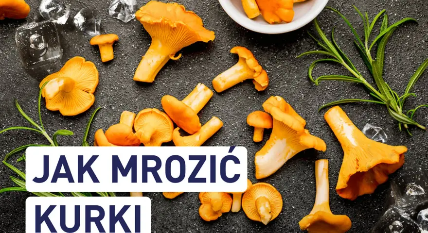 Świeże kurki i lód na ciemnym tle. Dowiedz się, czy kurki można mrozić, aby cieszyć się nimi dłużej.