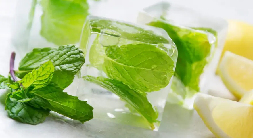Frische Minzblätter eingefroren in Eiswürfeln, daneben Zitronenspalten. Perfekt für erfrischende Sommergetränke.