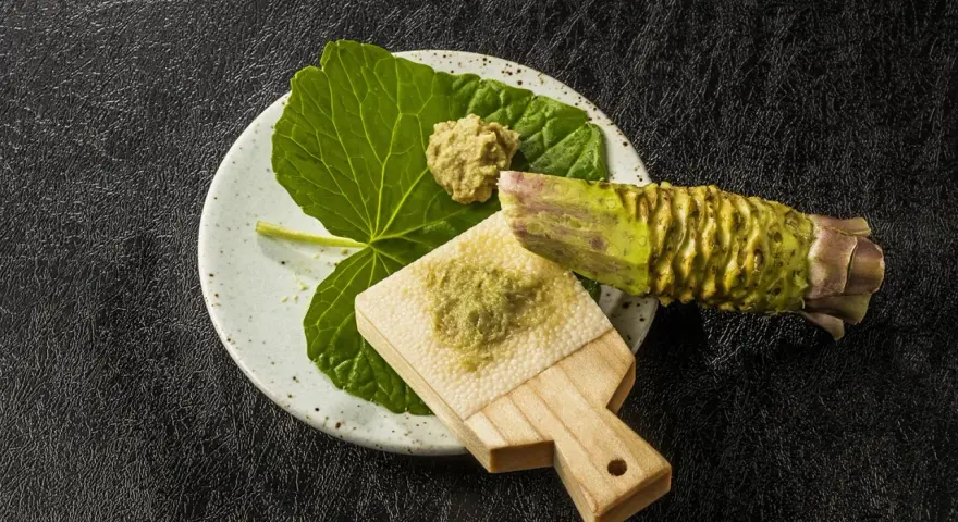 Świeży korzeń wasabi i pasta na tarce. Czy wasabi jest zdrowe? Tak, zawiera cenne składniki.